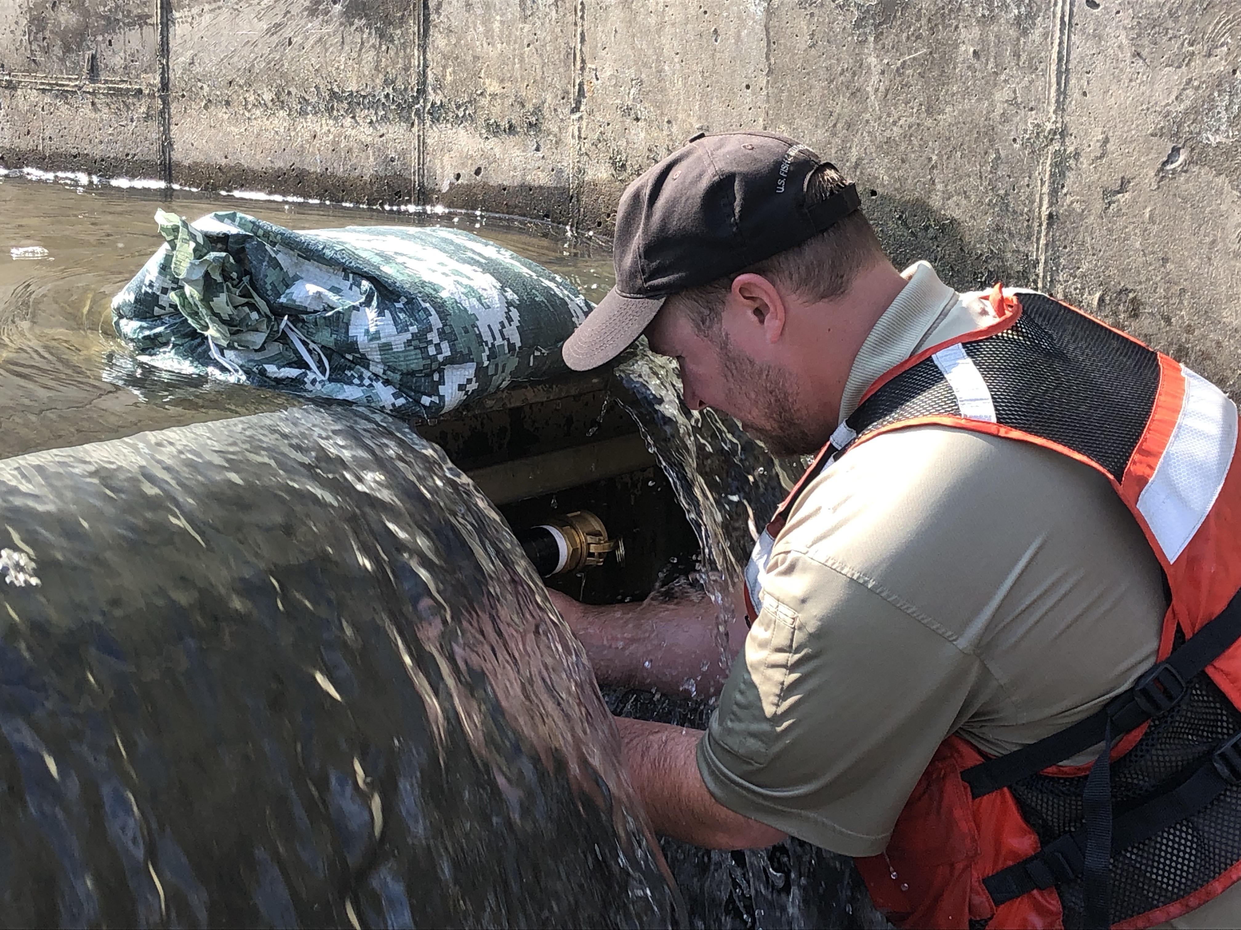 A photo of a FWS biologist working on a pipe in a dam